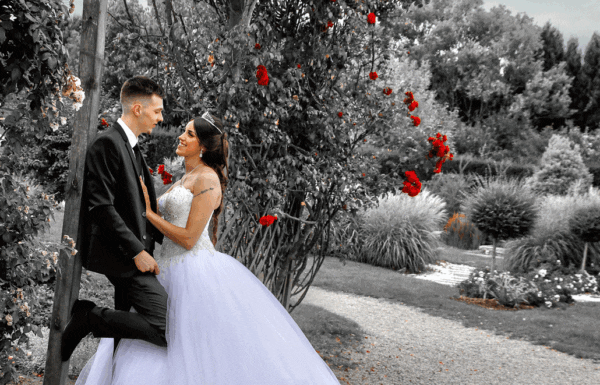 Category Vendor Gallery 42 Photographe Mariage Lille Valenciennes