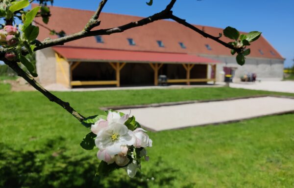 le domaine du château oublié Galerie 2