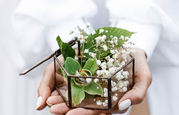 Falchenko Svitlana Galerie 5