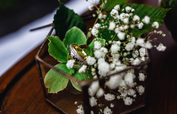 Falchenko Svitlana Galerie 1