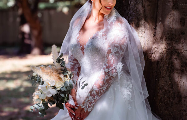 Category Vendor Gallery 5 Drmariage0401